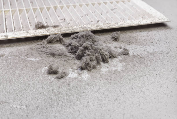 Best Affordable Duct Cleaning Services  in Portageville, MO